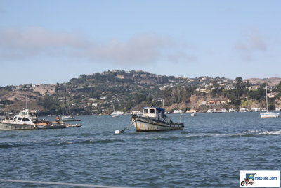 IMG_7332.jpg