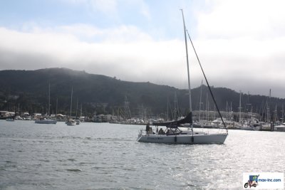 IMG_7336.jpg