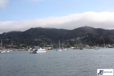 IMG_7338.jpg
