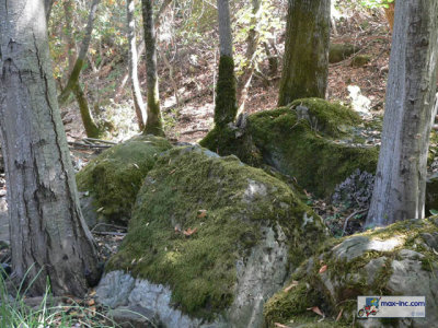 P1210405.jpg