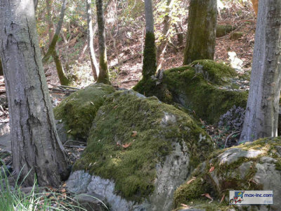 P1210406.jpg