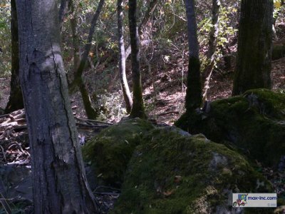 P1210415.jpg