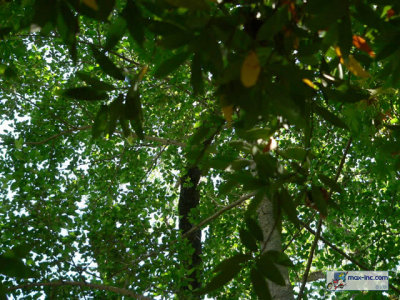 P1210419.jpg