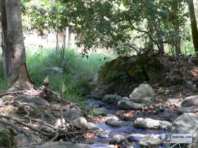 P1210424.jpg