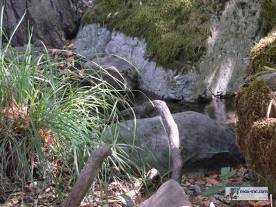 P1210441.jpg