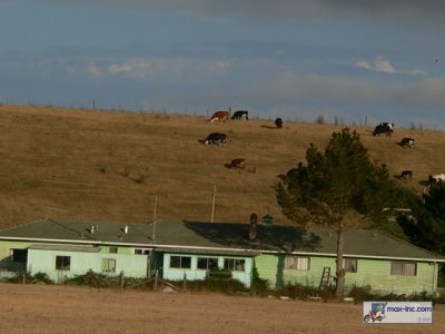 P1210570.jpg