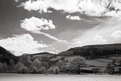 Bala Spring 06 89.jpg