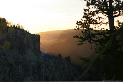 Canyon - Sunrise in Yellowstone's Grand Canyon