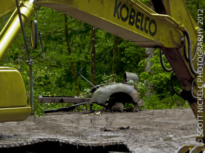Look What the Cat Dug Up