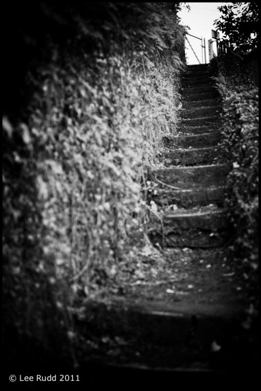 The Climb