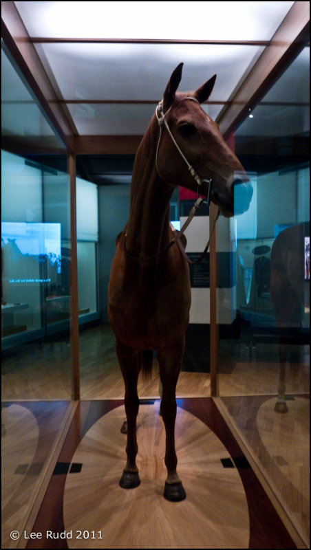 Phar Lap