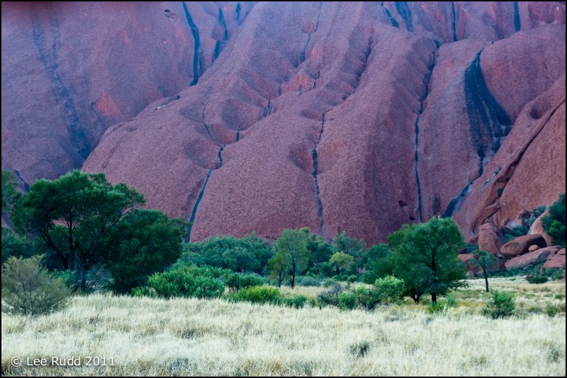 Uluru Detail