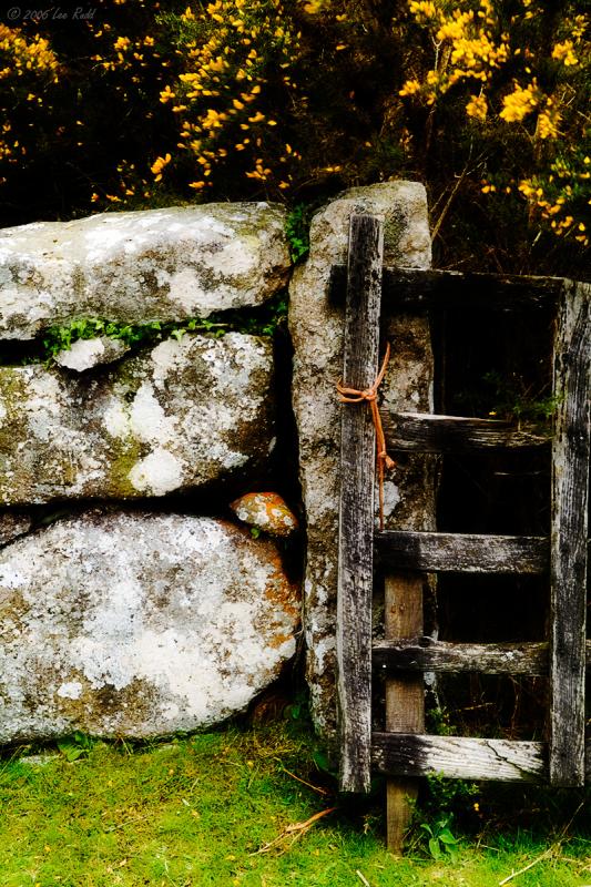 Stonewall, Fence & Gorse...