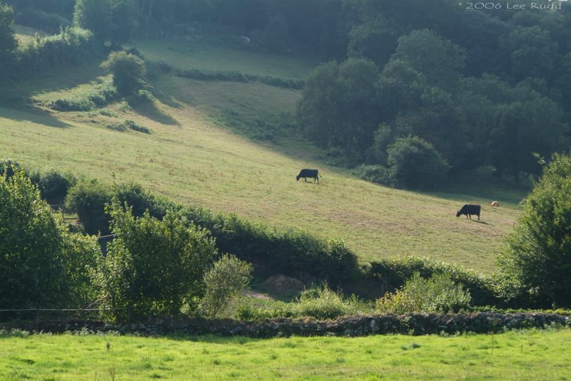 Hill Farm