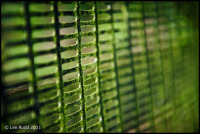 Green Grille