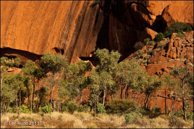 Uluru Detail