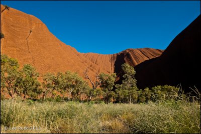 Uluru Detail