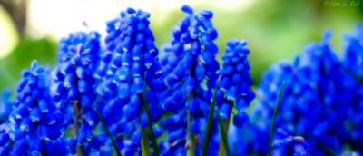 Blue Day