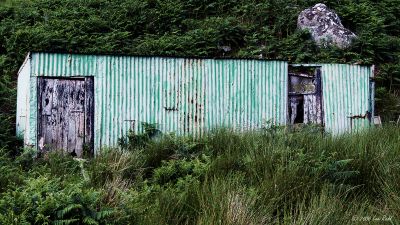 Green Shed