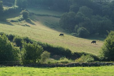Hill Farm