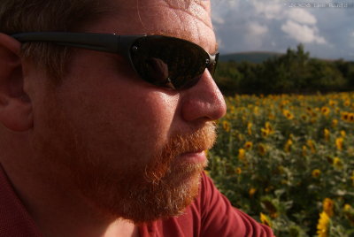 Facing the sunflowers