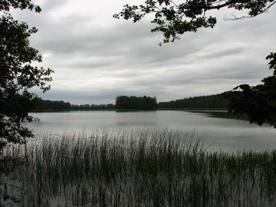 Jezioro Bartężek przy pochmurnej pogodzie(IMG_3001.JPG)