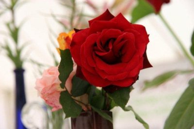 IMG_4762.jpg