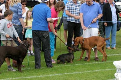 IMG_5174.jpg