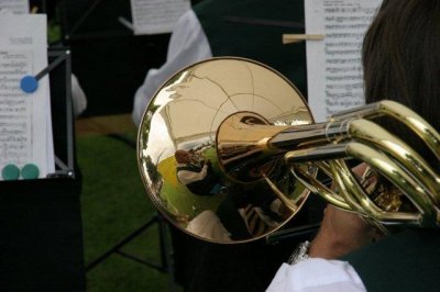 IMG_5437.jpg