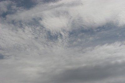 IMG_6044.jpg