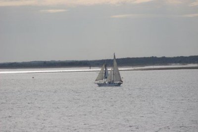 IMG_6592.jpg