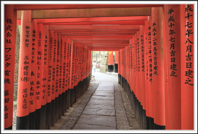 Fushimi Inari Shine