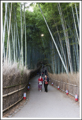 Arashiyama Bamboo Trail