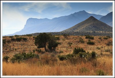 Guadalupe Moutains