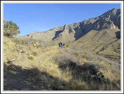 Trail to the top