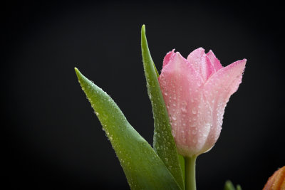 g4/15/470715/3/142560939.GR4Kbv4d.jpg