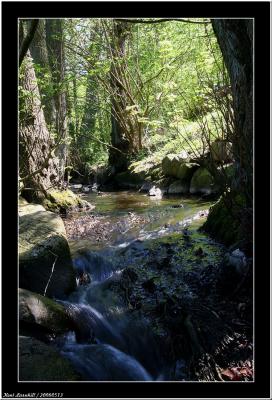 20060513 - Stream -