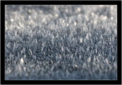 Field of frost