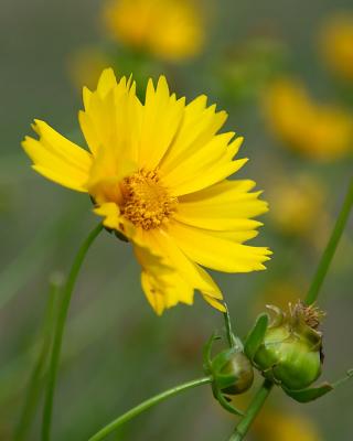 wDSC_0010.jpg
