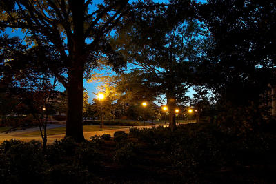 w_DSC1590.jpg
