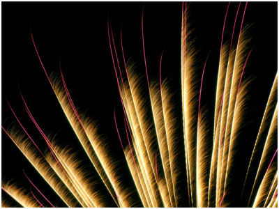 Flower Petal Fireworks