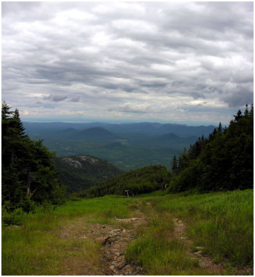 Service Trail Down Whiteface Mountain