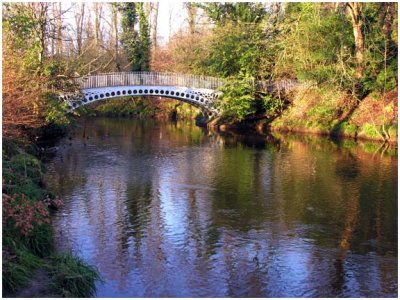 Bridge in Linn Park, Glasgow