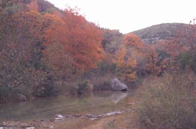 Lost Maples in Texas Hill Country