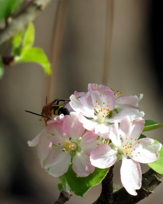 IMG_0683nx2w.jpg