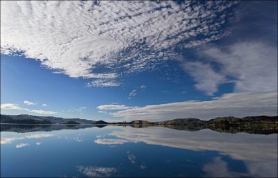 Otago Harbour