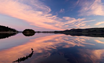 Papanui Inlet, Otago Harbour