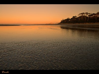 Papatowai Dusk