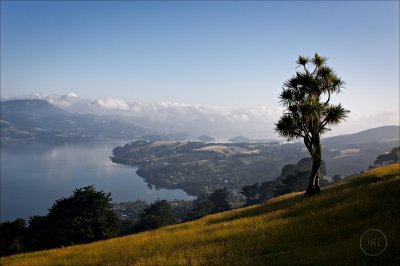 Otago Harbour from the High Road