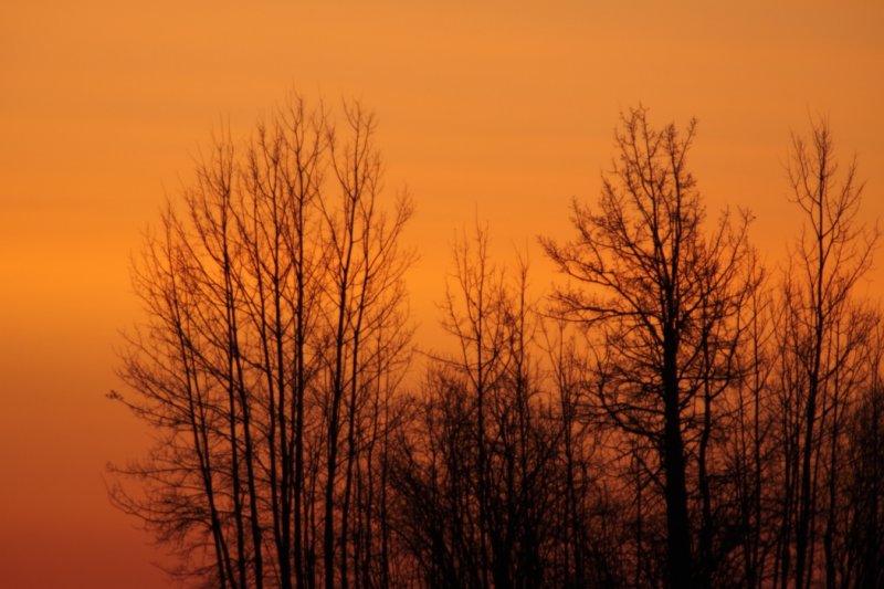 march 20 sunrise